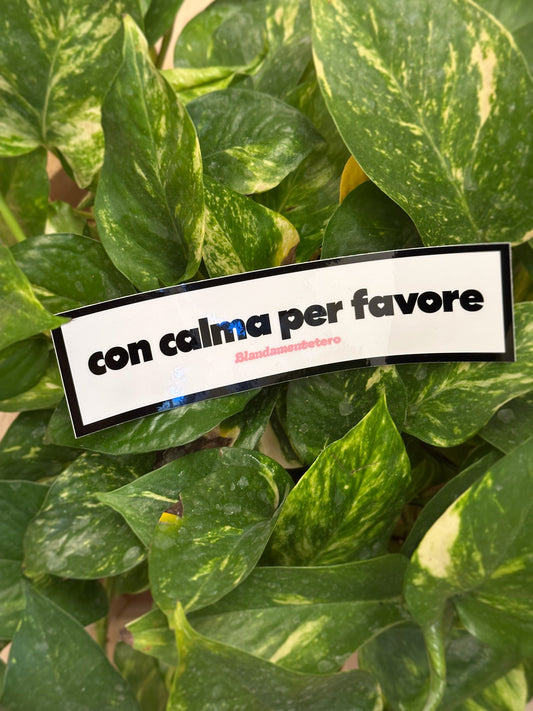 Blandamentetero | Set Adesivi  #1